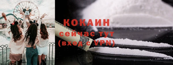 прущие крисы Ельня