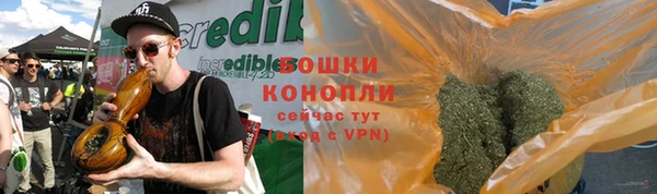 прущие крисы Ельня