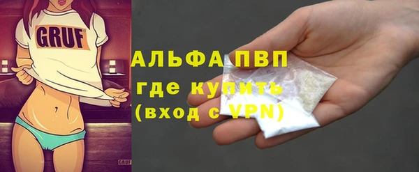 прущие крисы Ельня