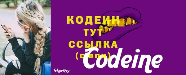 хмурый Заводоуковск