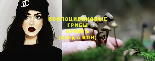 дурь Елабуга