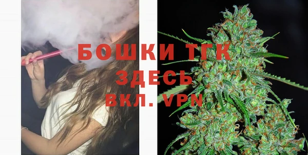 твердый Елизово