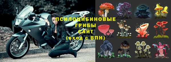 дурь Елабуга