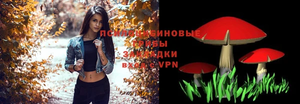 твердый Елизово