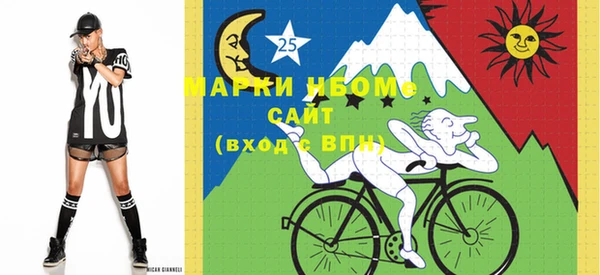 прущие крисы Ельня