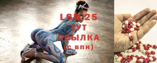 прущие крисы Ельня